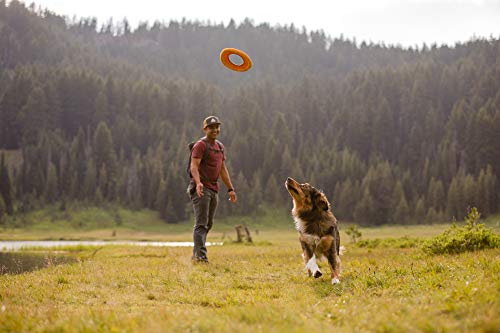 Ruffwear, Hydro Plane Dog Flying Disc, Soft Buoyant Foam Floating Fetch Toy, Lightweight Interactive Water & Snow Toy, Gentle on Teeth, Durable Year-Round Outdoor Play, Biolumin Blue, 9", Medium
