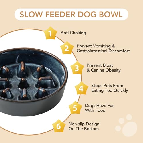 Havniva 0.9 Cup Elevated Slow Feeder Dog Bowls, 6.1” Dog Slow Feeding Bowls + 6.1” Ceramic Dog Water Bowls Set with Acacia Wood Stand, Dog Food Bowls Puzzle Feeder for Small Dogs Non-Slip Anti-choking - color: 2 x Starry Sky + Stand - C, size: S- 6.1inch