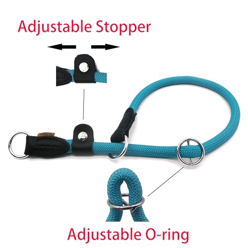 Braided Round Martingale Dog Collar, Training Collar with Slidable Stop Ring and Adjustable Stopper - Ideal for Small Dogs (S(1/4") - 14" Long, Light Blue) - color: Light Blue, size: S(1/4") - 14" Long with stopper