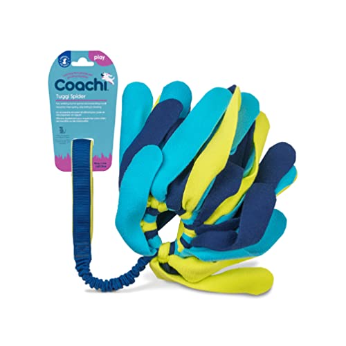 Coachi Tuggi Spider - Interactive Dog Toy for Tug of War & Play. Strong & Comfortable, Stretchy Bungee Handle, Reward Training, Interrupting Biting & Chewing. Ideal for Agility & Suitable for Puppies - style: Tuggi Spider