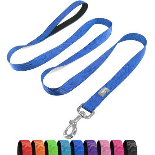 Basic Dog Leashes 6 FT Padded Handle Nylon Dogs Leashes for Small Dogs Blue - color: Blue, size: Small : 5/8" x 6 FT