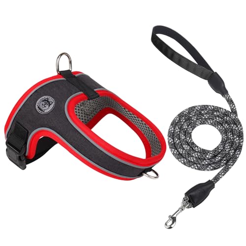 Dog Harness and Leash Set, No Pull Saddle Style Pet Harness, Breathable Mesh Adjustable Reflective Dog Vest for Medium Small Dogs Harness 2 D-Rings, Black, L - color: Black, size: L