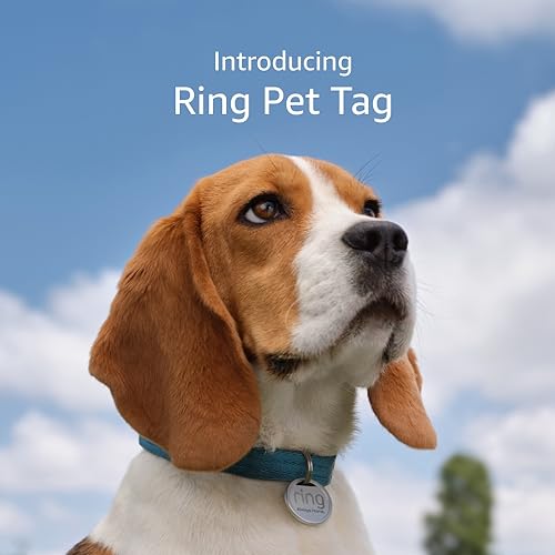 Ring Pet Tag | Easy-to-use tag with QR code | Real-time scan alerts | Shareable Pet Profile | No subscription or fees | 3-pack - size: 3 Pet Tags