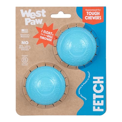 WEST PAW Zogoflex Boundr Ball Puppy Toy – Bouncing Toys for High-Energy Puppy Play - Aggressive Chewers, Catch, Fetch – Floatable, Recyclable, Dishwasher-Safe, Non-Toxic – Small - Aqua Blue - 2-Pack - color: Aqua Blue