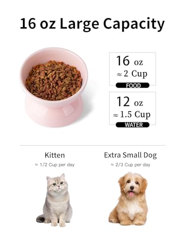 ABRUTY Cat Water Bowl, 16 OZ Ceramic Elevated Cat Bowls, 15° Tilted and Raised Pet Food Dish, Anti Vomiting Protect Pets' Spines and Whisker Fatigue - color: Pink, size: 1 Pack