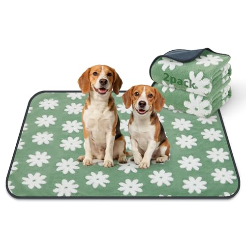 LOOBANI Washable Puppy Pads: Waterproof Reusable Pee Pads for Dogs, Non-Slip and Leak-Proof Dog Pee Mat, Absorbent Dog Training Pads for Puppy Playpen, Crate, Potty Training (36"x41", 2 Packs) - color: Green Daisy, size: 36"x41"(Pack of 2)