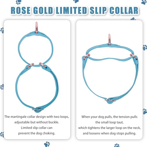 Soft Leather Martingale Dog Collar - Adjustable Rose Gold Limited Slip Collars [Easy to Clean], Stylish Durable Heavy Duty Nylon No Pull Training Collar for Small Medium Large Dogs XS Light Blue - color: Light Blue, size: XS (Neck 8"-11", Width 3/5")