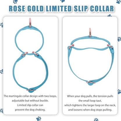 Soft Leather Martingale Dog Collar - Adjustable Rose Gold Limited Slip Collars [Easy to Clean], Stylish Durable Heavy Duty Nylon No Pull Training Collar for Small Medium Large Dogs XS Light Blue - color: Light Blue, size: XS (Neck 8"-11", Width 3/5")