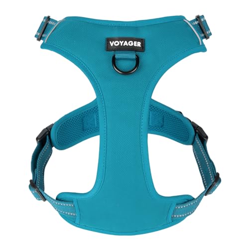 Voyager Dog Harness Dual Leash Attachment No-Pull Control Adjustable Soft but Strong Pet Harness for Medium and Large Dogs with 3M Reflective Technology, Turquoise Nylon, XS (Chest: 13-16") - color: Turquoise Nylon, size: XS (Chest: 13 - 16")
