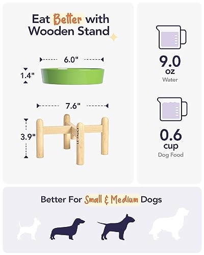 LE TAUCI Ceramic Slow Feed Dog Bowls, Elevated for Small Breeds, Anti-Gulping, Non-Slip, 6 inch, Green - color: Clover Green+Stand, size: S-0.6 Cups