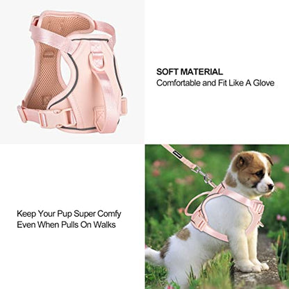 Petmolico Dog Harness for Small Dogs, Cute Harness Vest with Two Leash Clips and Soft Handle, Reflective Easy Walk Puppy Vest - Pink, Small - color: Pink, size: Small