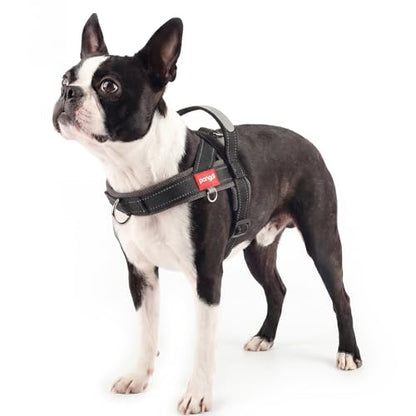 No Pull Dog Harness with Handle, Reflective Dog Vest, Black, M | Adjustable, Front Leash Clip, Safety Lock Buckle, Breathable Mesh Padded, Quick Fit, for Boston Terrier & Small Dogs - color: Black, size: Medium