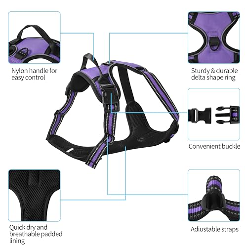 Purple No-Pull Dog Harness with 2 Leash Clips，Soft Padded Vest for Medium Dog, Adjustable Reflective Dog Vest Easy to Put on and Take Off, (Neck: 14"~20", Chest: 21"~27", Purple M) - color: Purple, size: Medium
