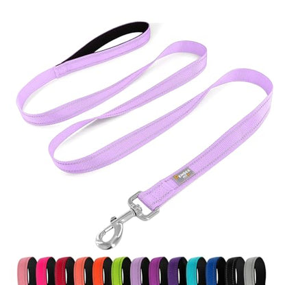 Reflective Dog Leash 6 FT Padded Handle Nylon Dogs Leashes for Small Dogs Lavender - color: Refl Lavender, size: Small : 5/8" x 6 FT