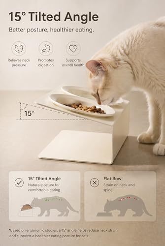 Elevated Cat Bowls 3.4 oz x2, Raised Cat Bowl Stand, Ceramic Cat Food and Water Bowl Set for Cats and Small Dogs (White) - color: white