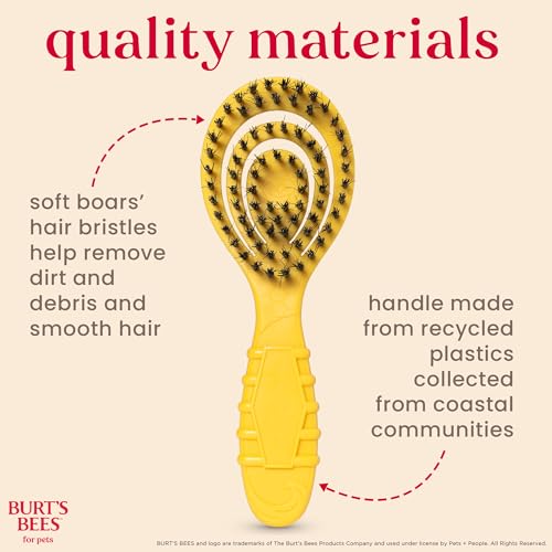 Burt's Bees for Pets Small Bristle Brush with Natural Boar’s Hair & Nylon | Handle Made from Recycled Plastics Collected from Coastal Communities | De-Shedding Eco Friendly Dog Grooming Brush - color: Plastic Bristle Brush, size: 7 Inch