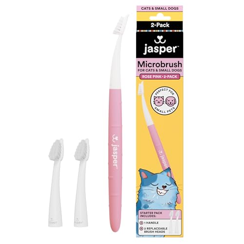Jasper Microbrush Vet Approved Cat Toothbrush, Soft-Bristled Toothbrush Kit for Felines & Small Dogs, Non-Slip Handle with 2 Replaceable Tooth Brush Heads, Use with Cat Toothpaste, 2-Pack, Rose Pink - color: Rose Pink 2 Pack
