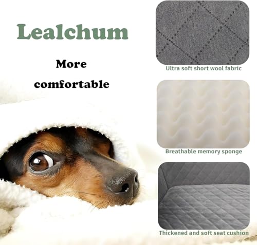 Lealchum Dog Car Seat for Medium/Large Dogs,2 Clip-On Safety Leashs for 2 Small Dogs,Removable and Washable Comfy Pet Car Seat,Easy to Install and Clean (Black/Red, Large) - color: Black/Red