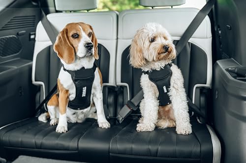 Thule Cappy Dog Harness L - Crash-Tested for Safety - Seatbelt passthrough - Adjustable & Easy to Clean - Padded Breathable mesh Panels - Leash Loop - Step-in Design - size: Large