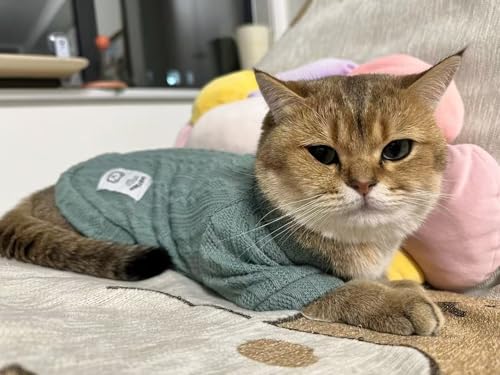Kitten Clothes, Dog Cat Sweaters Pet Puppy Knitwear Costume Fall Winter Coat for Small Medium Cats Dog Girl Boy Fit 2.2-23lb - color: Black Blue, size: X-Large