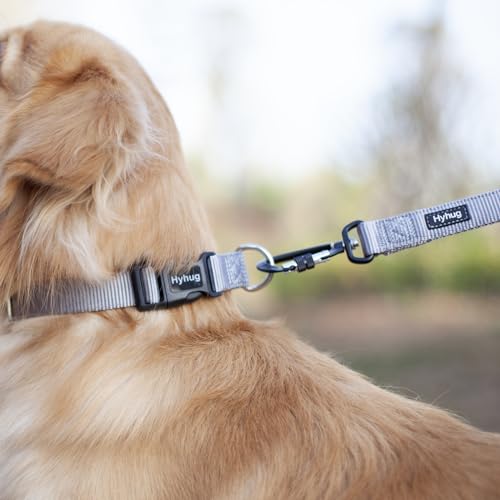 Hyhug Small Dog Collar Quick-Release| Heavy-Duty Nylon Puppy Collar, Adjustable & Durable Pet Supplies for Boy & Girl Dogs (Small, Sleet Gray) - color: Sleet Gray, size: Small