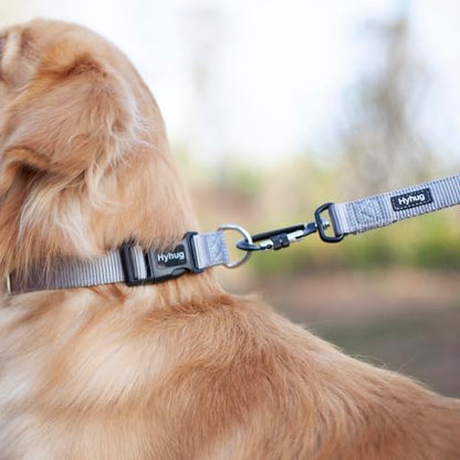Hyhug Small Dog Collar Quick-Release| Heavy-Duty Nylon Puppy Collar, Adjustable & Durable Pet Supplies for Boy & Girl Dogs (Small, Sleet Gray) - color: Sleet Gray, size: Small
