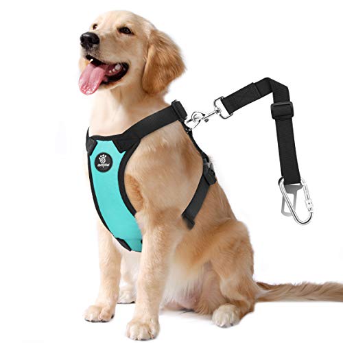 VavoPaw Dog Seat Belt, Safety Vest Dog Car Harness with Adjustable Buckle Dog Seat Belt for Vehicle Nylon Pet Safety Seat Belts Heavy Duty(XL, Blue) - color: Blue, size: XL (Chest: 24.4-34.7", Neck: 18.9-29.1")