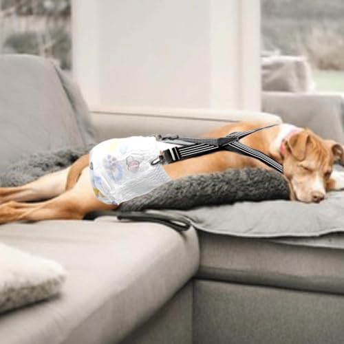 2PCS Adjustaeble Dog Nappy Suspenders - Anti-Slip DiaHolder Straps | Secure Pet DiaKeefor Female Dogs, Dog Dresses, - color: M