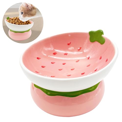 Hamiledyi Ceramic Raised Cat Bowls 15° Tilted Elevated Kitten Food Water Bowl Shallow Whisker Fatigue Kitty Dish Fruit Pet Feeding Bowls Feeder for Indoor Cats Small Dog (Pink Strawberry)