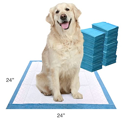 Four Paws Wee-Wee Super Absorbent Unscented Pee Pads for Dogs & Puppies with Insta-Rise Border, Leak-Proof Dog Housebreaking Potty Training Floor Protection, 24" x 24", 75 Count (Packaging May Vary) - size: 75 Count