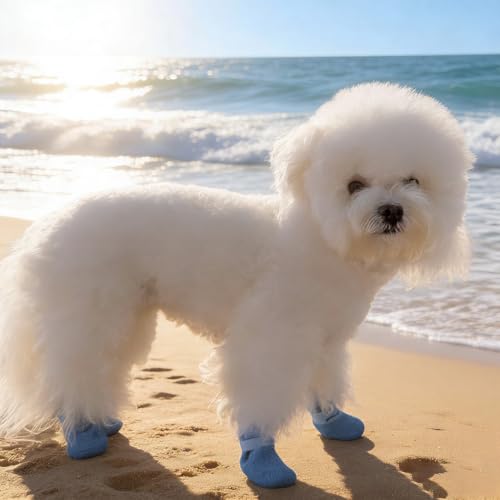 4pcs Nonslip Pet Shoes Waterproofed and Wear for Dog Various Weather Protecting Easyly Waterproofed Dog Shoes - color: Blue, size: M