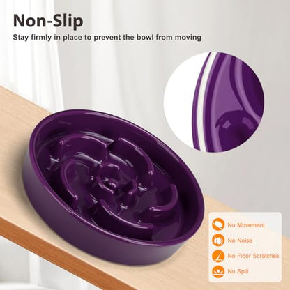 Slow Feeder Dog Bowl, Ceramic 2 Cups Dog Food Bowls for Small, Medium, and Large Breed, Anti-Slip Maze Puzzle Food Dish to Slow Down Eating (Deep Purple, 2 Cups) - color: Flower - Deep purple