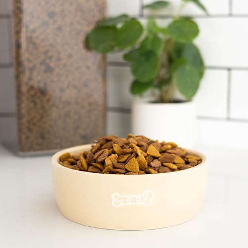 Pearhead Ceramic Dog Bowl – Neutral Taupe “Woof” Design, Holds 2.5 Cups, Non-Skid Stoneware Pet Feeding Dish, 20 oz, Medium - color: Taupe Woof Bowl, size: Medium