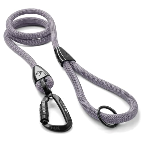 MADE TO ROAM Premium Explorer Leash - Climbing Rope Leash with Autolocking Aviation Aluminum Carabiner - Montana Moonrise, 6ft - color: Montana Moonrise, size: 6 Feet