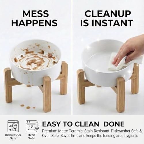 hjn Elevated Ceramic Dog Bowl 15°Slanted Raised Dog Bowl with Bamboo Stand for Small Medium Dogs and Cats, Pet Feeder -3.6-Cup (850ml)-White - color: White, size: 3.6Cup