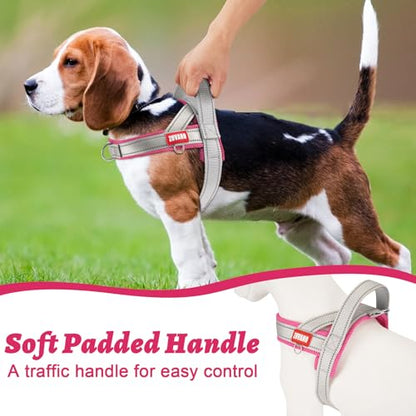 Escape Proof Dog Harness, No-Pull No Choke Soft Padded Breathable Lightweight Mesh Dog Harness for Small Dogs, Reflective Adjustable Pet Vest with Front Clip, Pink/Gray, S - color: Pink/Gray, size: Small