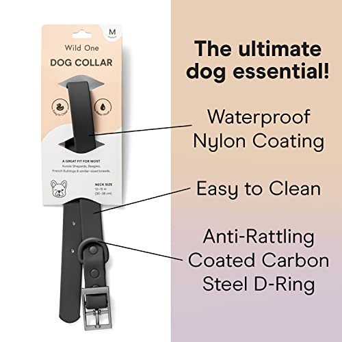 Wild One Dog Collar, Easy-Clean, All Weather Flex-Poly Strap with Metal, Durable, Dirt and Odor Resistant (Black, S) - color: Black, size: S