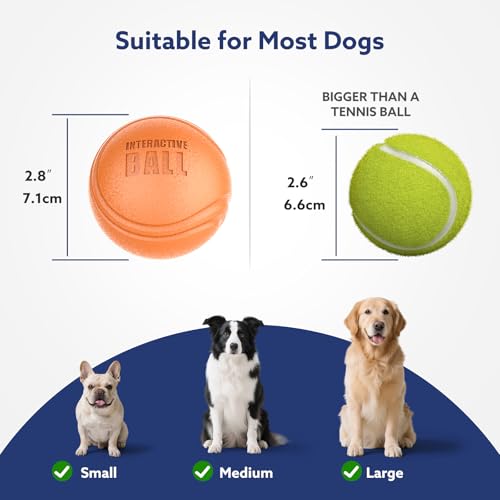 AIPERRO Interactive Dog Toys Ball, Smart Action Activated Rechargeable Pet Toy, TPU Material, IPX7 Waterproof Rating, Automatic Rotating/Bouncing/Moving, Suitable for Small/Medium Dogs-Orange - color: Orange