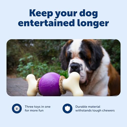 PetSafe Busy Buddy Bouncy Bone, Treat Holding Dog Toy, Large, Best for Dogs Over 75 Lb. - size: Large, style: Bouncy Bone