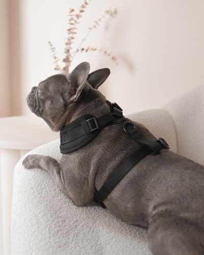 Premium No-Pull Dog Harness Soft Neoprene & Breathable Mesh Vest with Front & Back Clip D-Rings Adjustable Lightweight Walking Harness for Puppies, Small & Medium Dogs (Black, XS) - color: Black, size: XS: Neck 10.6-14.2'', Chest 14.2-18.9''