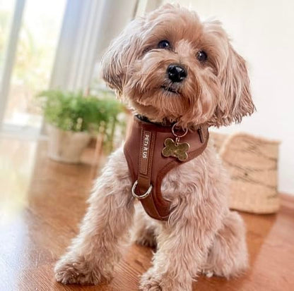 Premium No-Pull Dog Harness Soft Neoprene & Breathable Mesh Vest with Front & Back Clip D-Rings Adjustable Lightweight Walking Harness for Puppies, Small & Medium Dogs (Bronze Brown Gold, XS) - color: Bronze Brown Gold, size: XS: Neck 10.6-14.2'', Chest 1