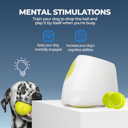 ALL FOR PAWS Automatic Ball Launcher for Dogs Interactive Puppy Pet Ball Outdoor Thrower Fetch Machine, 6 Balls Included (2.5 inch) + Six Tennis Balls Bundle
