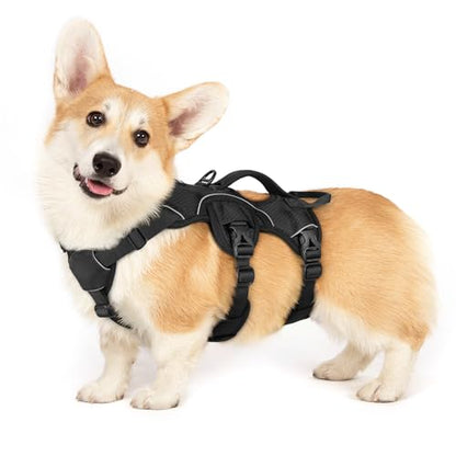 rabbitgoo Escape Proof Dog Harness, Soft Padded Full Body Pet Harness, Reflective Adjustable No Pull Vest with Lift Handle and Leash Clip for Large Dogs Walking Hiking Training, S, Black - color: Black, size: Small (Pack of 1)