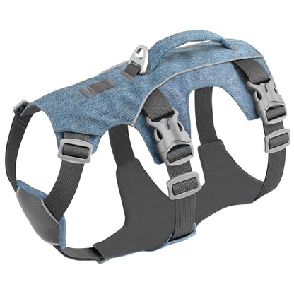 Escape Proof Dog Harness with Handle - Reflective No Pull Dog Vest, Lightweight Full Body Pet Harness Adjustable for Small Dogs Walking,Training(Blue,Chest:14-22") - color: Blue, size: XS: Chest 14-22", Fit 8-12 lbs