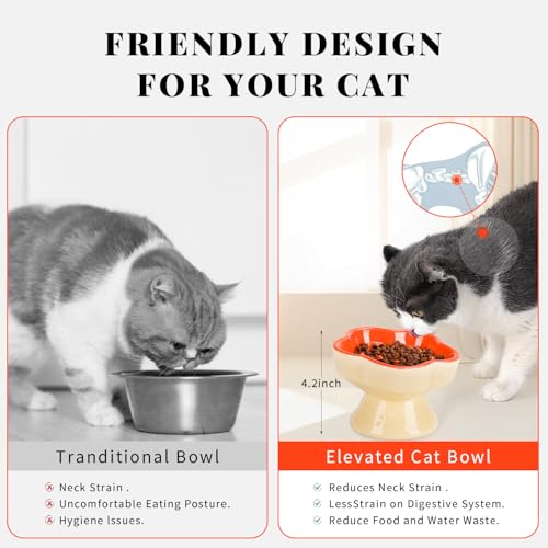 S&Q's CERAMICS Raised Slow Feeder Cat Bowl, Ceramic Glass Elevated Pet Food Bowl Small Dogs Slow Feeder, Flower Shaped Cute Dish for Dry and Wet Food (Orange, 5.8") - color: Orange