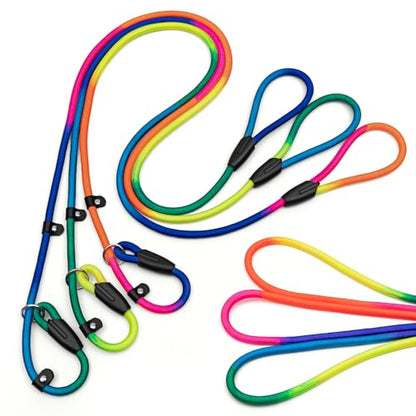 FOVRLZSE 3-Pack Adjustable Rainbow Dog Slip Leads Multi-Color, 5FT Reflective Nylon – No Collar Needed, No-Pull, Ideal for Small/Medium Dogs (Training/Walking) - color: Rainbow