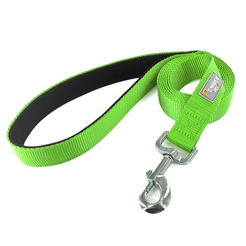 Basic Dog Leashes 6 FT Padded Handle Nylon Dogs Leashes for Small Dogs Green - color: Green, size: Small : 5/8" x 6 FT