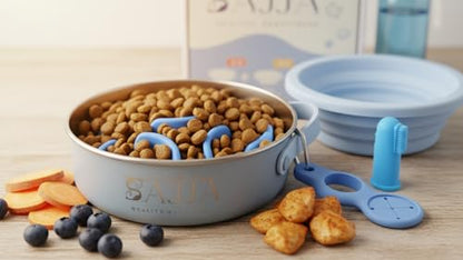 Blue Slow Feeder Travel Dog Bowl Set – 30oz Stainless Steel + 20oz Collapsible Silicone Dish + Silicone Slow Feeder Insert | Water Bottle Holder | Non-Slip, Anti-Choking, BPA-Free – Claim - color: Slow feeder Blue Bowl