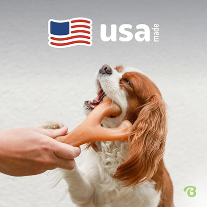 Benebone Wishbone Durable Dog Chew Toy for Aggressive Chewers, Made in USA, Large, Real Bacon Flavor - size: Large
