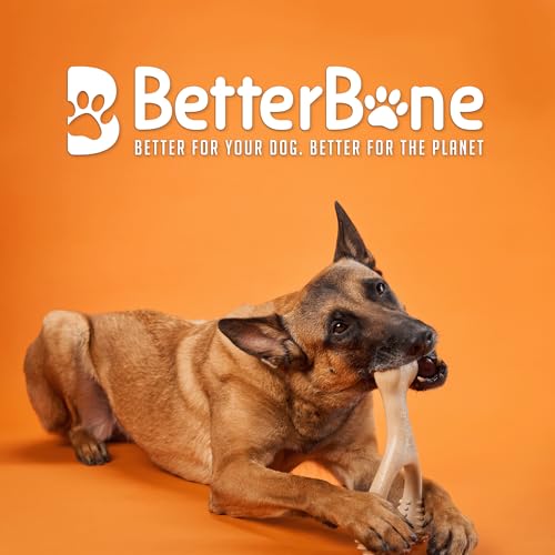 BetterBone - Hard Density - Ideal for Strong to Aggressive Chewers - All-Natural, Nylon-Free Dog Chew Toys - Non-Toxic, Promotes Dental Health, Splinter-Resistant, Sustainably Made - size: Small
